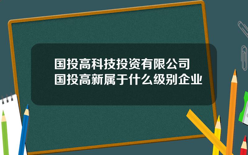 国投高科技投资有限公司 国投高新属于什么级别企业